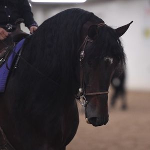 Meet your Posher, Leeanne